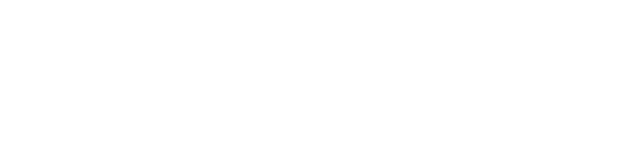 Shark white